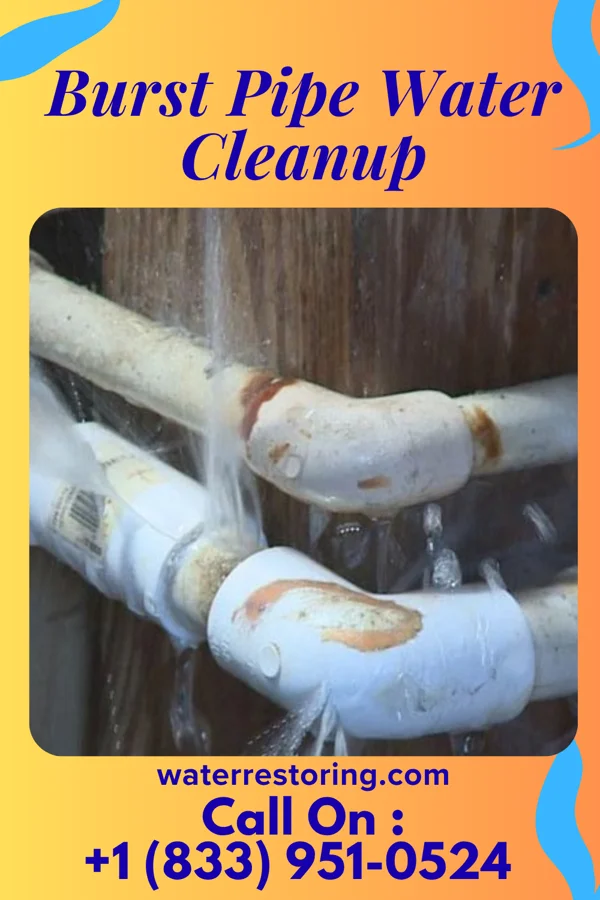 Burst Pipe Water Cleanup in Spiceland, IN